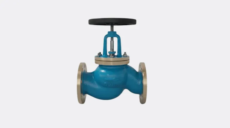 Screw down non return (SDNR) Globe Valve