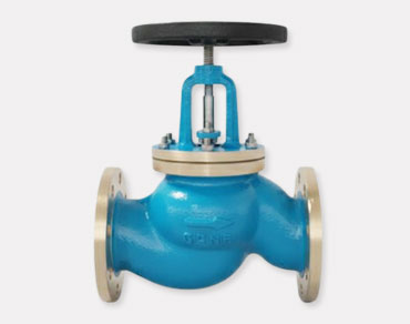 SDNR Globe Valve Disc Components